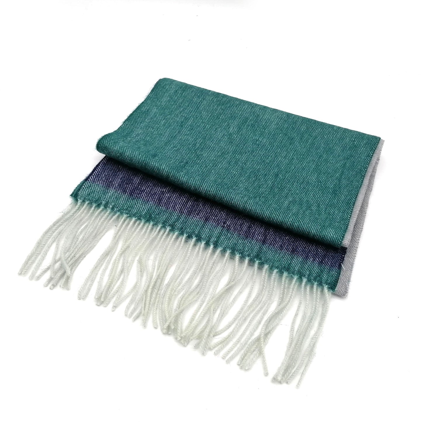 Color Blocked Cashmere Scarf Tassel